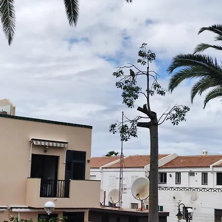 Costa Del Silencio Atlantico I Apartmán *