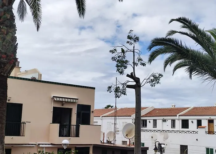 Costa Del Silencio Atlantico I 아파트 *